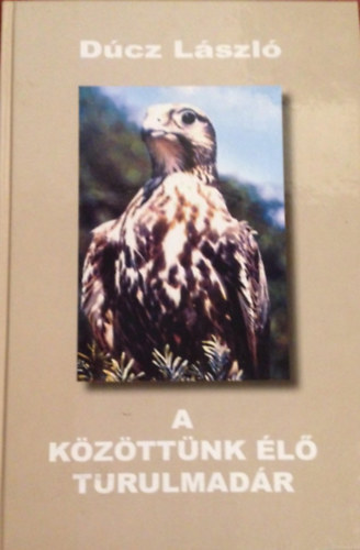 A kzttnk l turulmadr