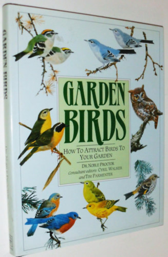 Garden Birds: How to Attract Birds to Your Garden