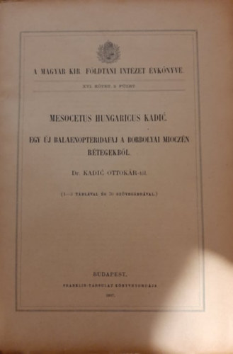 A Magyar Kirlyi Fldtani Intzet vknyve XVI. ktet 2. fzet - Egy j Balaenopterida faj a borbolyai mioczn rtegekbl