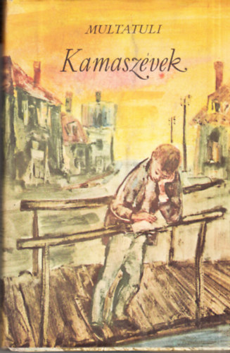 Kamaszvek