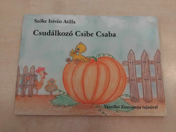 Csudlkoz Csibe Csaba