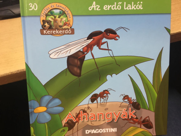 Az erd� lak�i - A hangy�k (Kerekerd�)