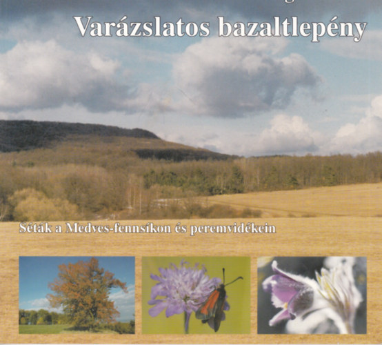 Varzslatos bazaltlepny