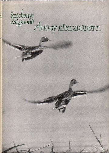Ahogy elkezd�d�tt...