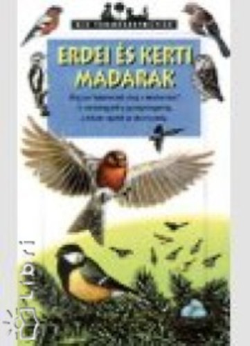 Erdei s kerti madarak
