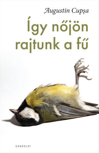 �gy n�j�n rajtunk a f�