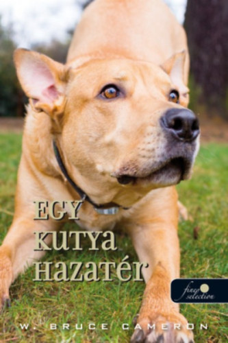 Egy kutya hazatr - filmes bort