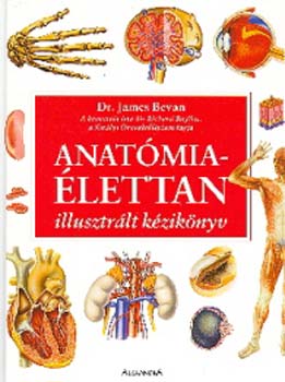 Anatmia-lettan - illusztrlt kziknyv