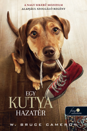 Egy kutya hazatr - filmes bort