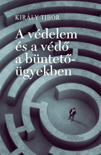 A vdelem s a vd a bntetgyekben