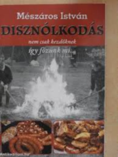 Diszn�lkod�s, nem csak kezd�knek �gy f�z�nk mi...