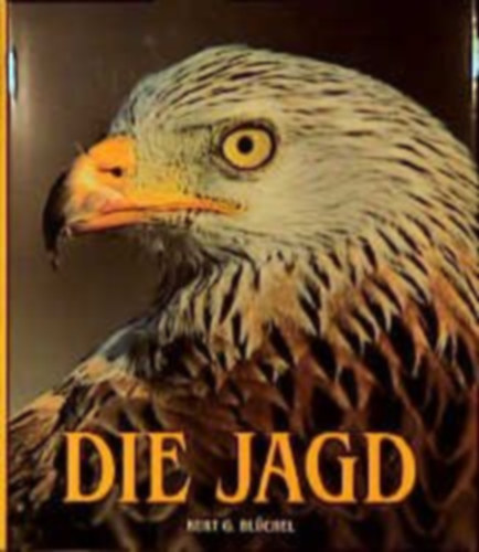 Die Jagd (Vad�szat)