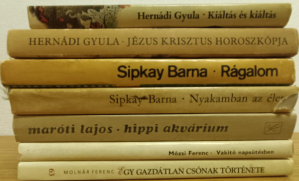 Magyar kortrs regnycsomag