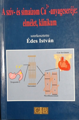 des Istvn  (szerk.) - A szv- s simaizon Ca2+ -anyagcserje: elmlet, klinikum