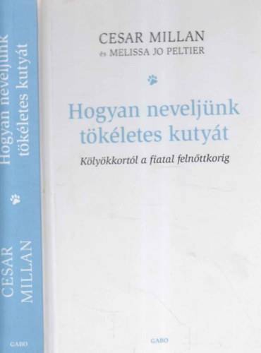 Hogyan neveljnk tkletes kutyt