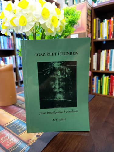 Nincs - Igaz élet Istenben XIV.: Jézus beszélgetései Vassulával