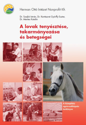 A lovak tenysztse, takarmnyozsa s betegsgei