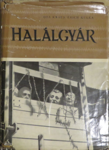 Hallgyr