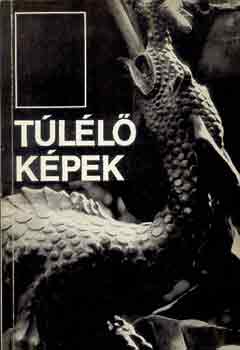 Kntor Lszl - Tll kpek - Erdlyi rk vallomsai a maradsrl s az eltvozsrl