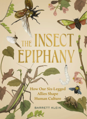 Barrett Klein - The Insect Epiphany