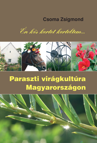 Paraszti vir�gkult�ra Magyarorsz�gon