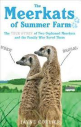 Jayne Collier - The Meerkats of Summer Farm