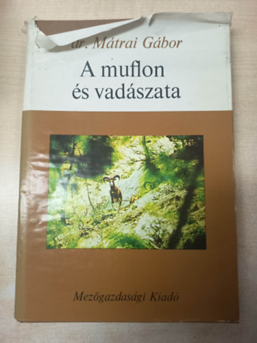 Dr. M�trai G�bor - A muflon �s vad�szata