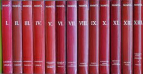 Magyar m�vel�d�st�rt�neti lexikon I-XIII. (MAM�L)