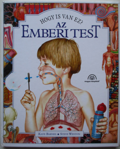 Az emberi test (Hogy is van ez?)