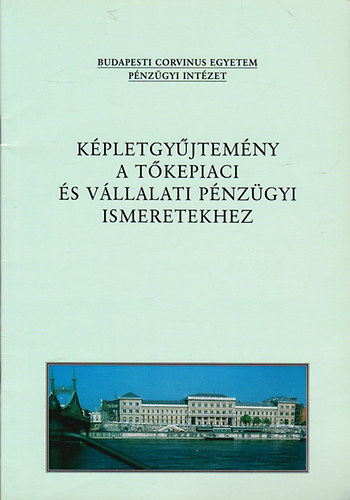 Kovcs Nikolett ; Fazekas Gergely; Juhsz Pter (szerk.) - Kpletgyjtemny a tkepiaci s a vllalati pnzgyi ismeretekhez
