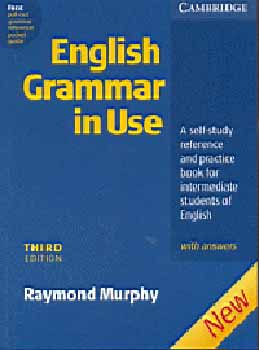 English Grammar In Use With Answers Third Edition