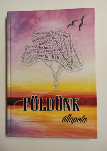Fldnk llapota