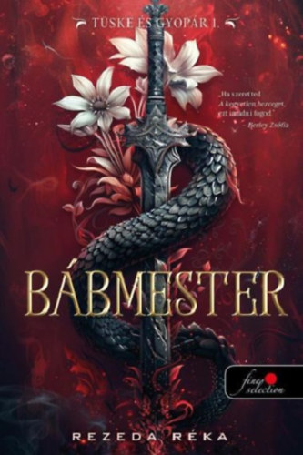 Bbmester