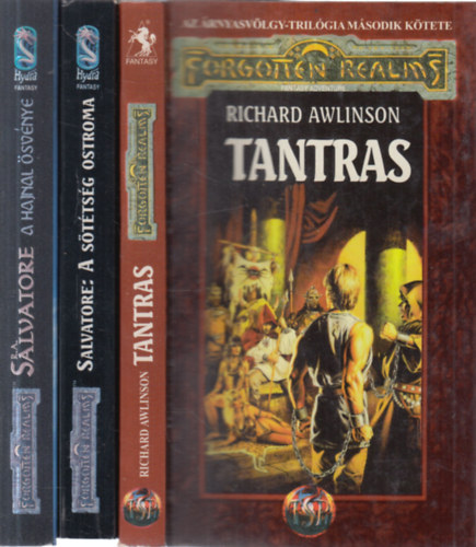 3 db. Forgotten Realms (Tantras + A sttsg ostroma + A hajnal svnye)