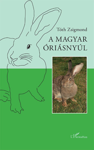 A magyar risnyl