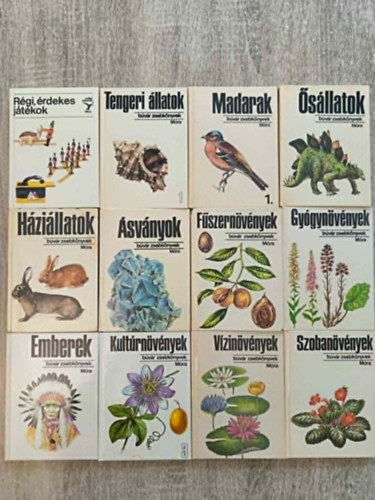 12 db B�v�r zsebk�nyv