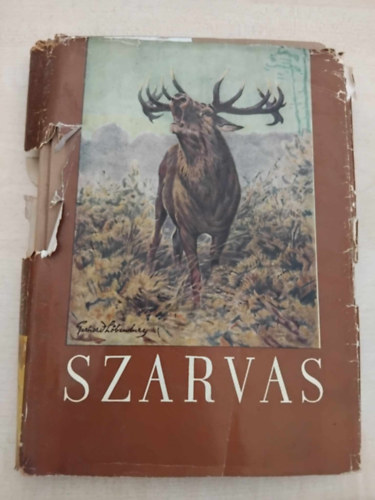 Szarvas