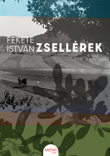 Zsellrek