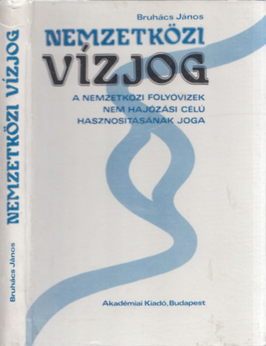 Nemzetkzi vzjog (A nemzetkzi folyvizek nem hajzsi cl hasznostsnak joga)