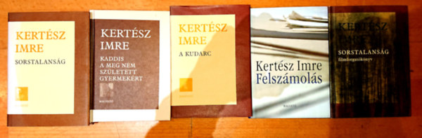 5 knyv Kertsz Imrtl: Kaddis a meg nem szletett gyermekrt, A kudarc, Felszmols, Sorstalansg, Sorstalansg filmforgatknyv