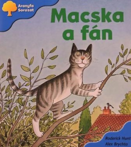 Macska a fn