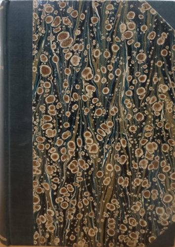 A magyar irodalom trtnete I.- A rgi magyar irodalom trtnete (1899)