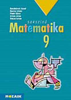 Sokszn matematika - tanknyv 9.o.