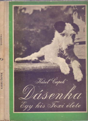 Dsenka - Egy kis foxi lete (Els magyar kiads - Rajzolta s fnykpezte: Karel Capek)