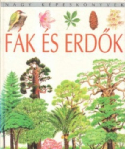 Fk s erdk - Linden Artists rajzaival (Nagy Kpesknyvek)