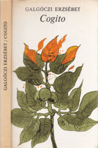 Cogito