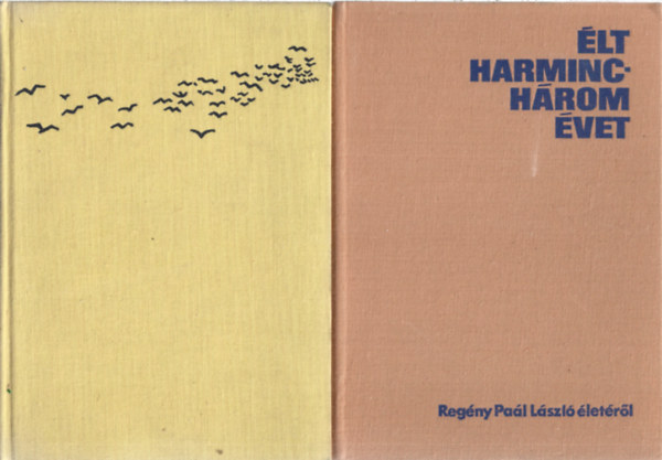 2 db könyv, Stone: Van Gogh élete, Barát Endre: Élt harminchárom évet