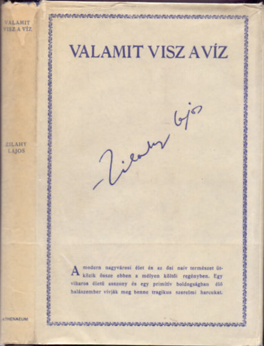 Valamit visz a vz