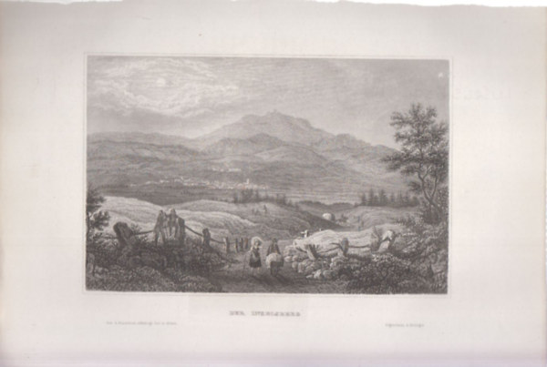 Der Inselsberg (Inselsberg hegy, Tringia, Nmetorszg, Eurpa) (16x23,5 cm mret eredeti aclmetszet, 1856-bl)