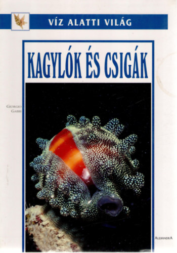 Kagyl�k �s csig�k (v�z alatti vil�g)